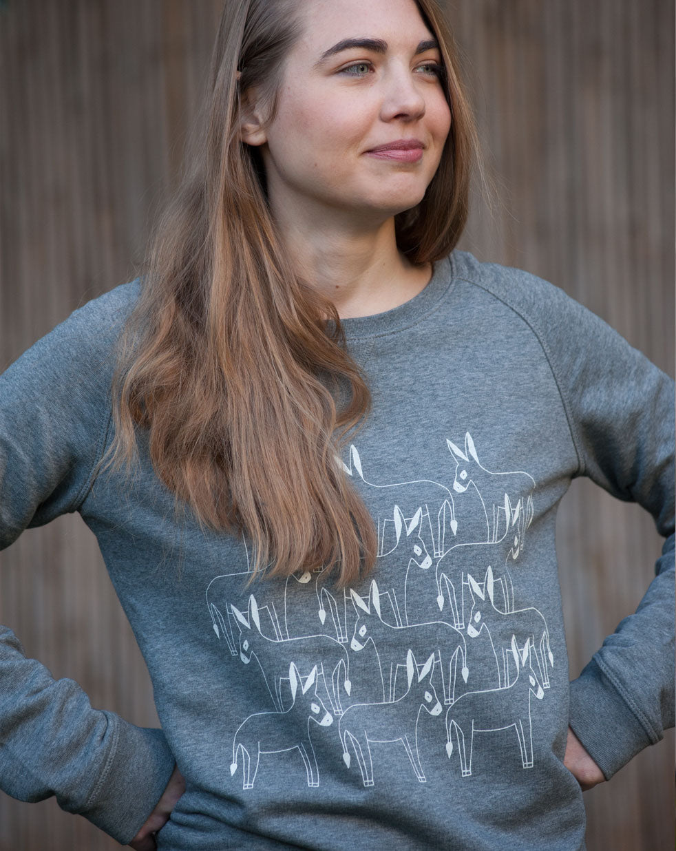 Women's sweatshirt | grey